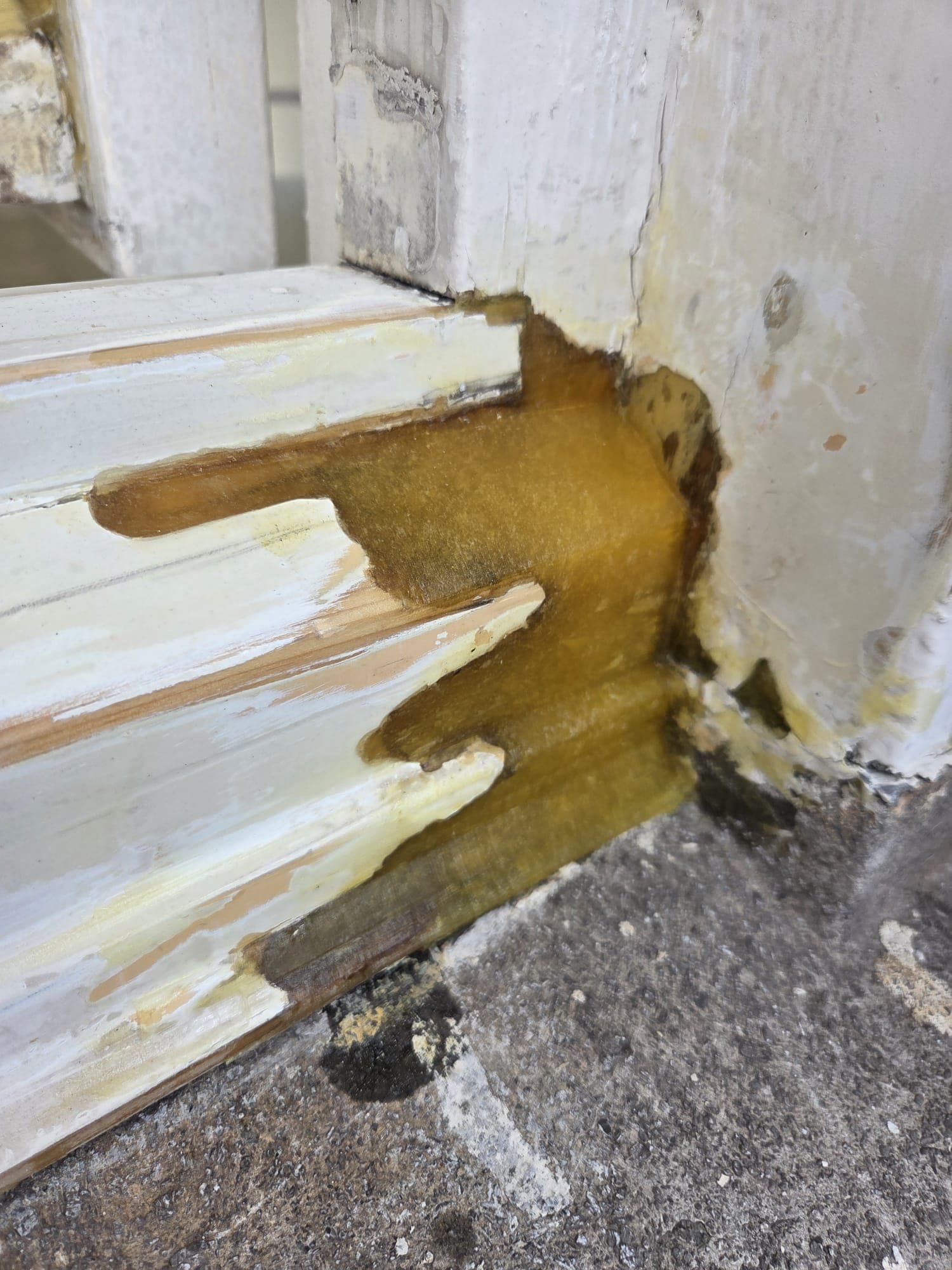 Wood Rot Repair — Frames — 4