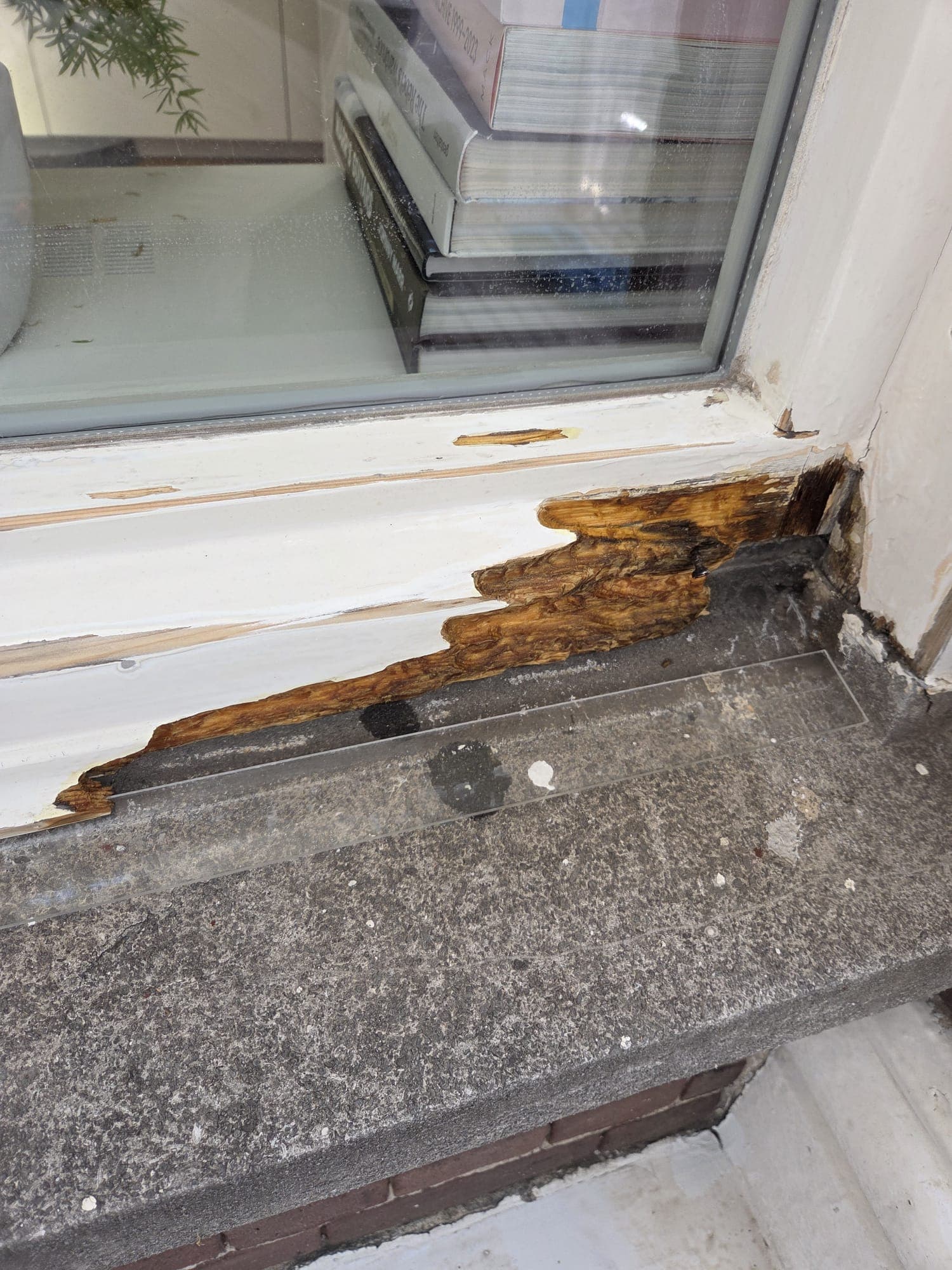 Wood Rot Repair — Frames — 5