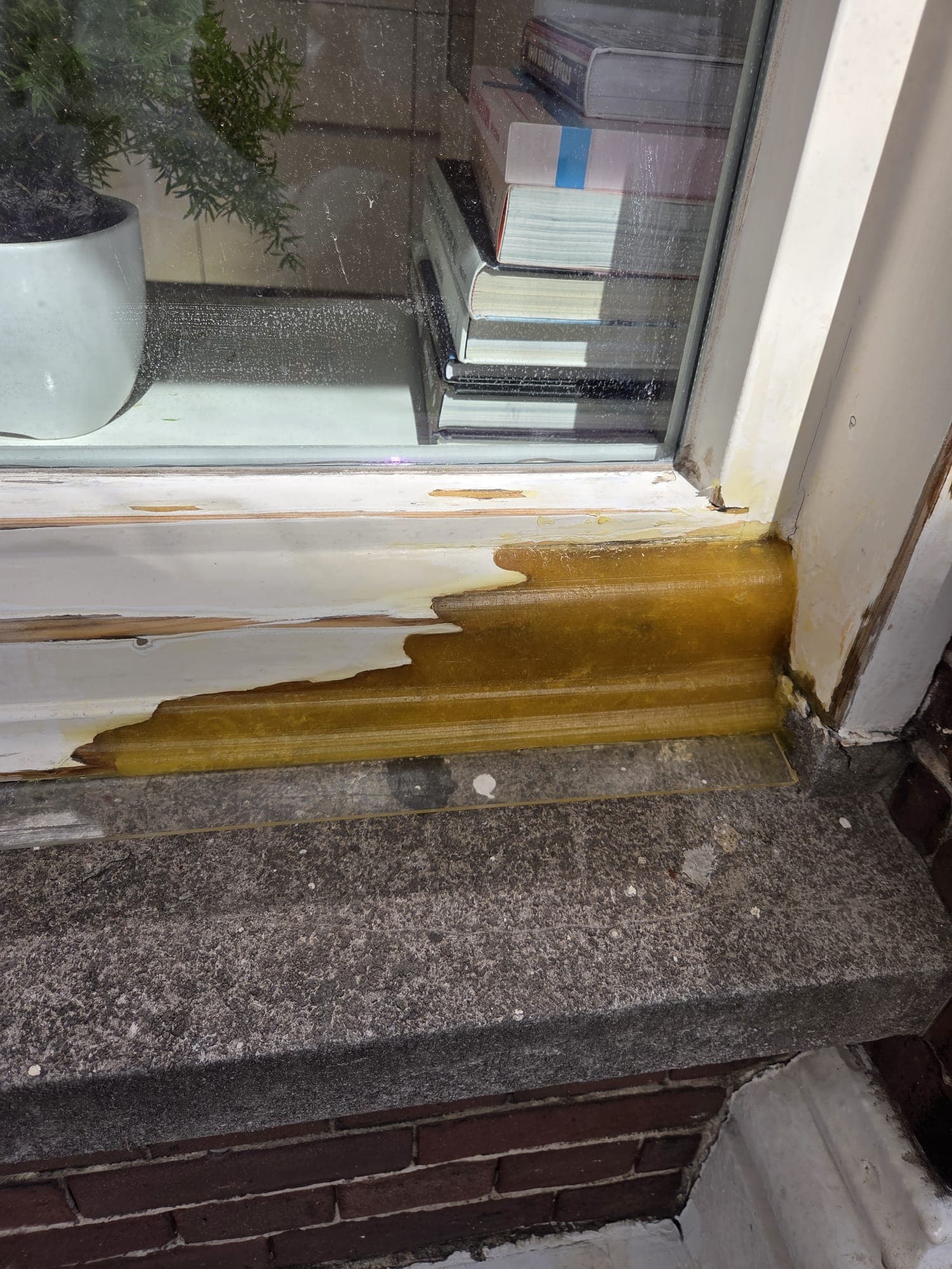Wood Rot Repair — Frames — 6